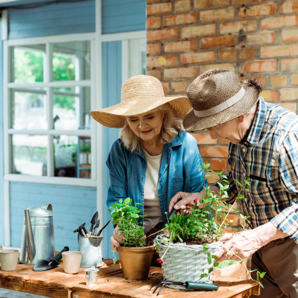 Actividades recreativas para adultos mayores