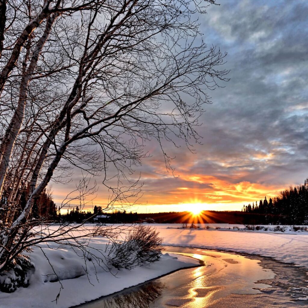 Paisaje de invierno