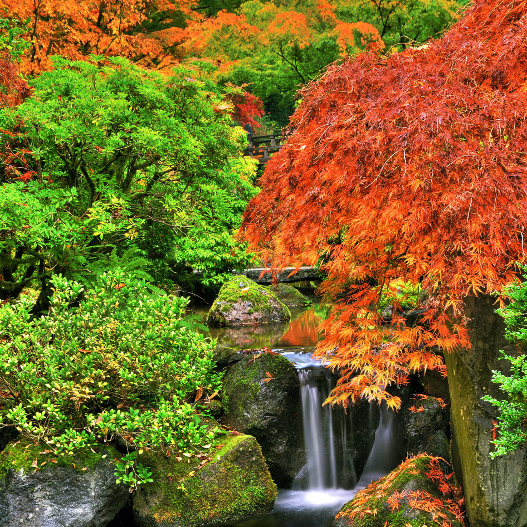 Paisaje de Otoño